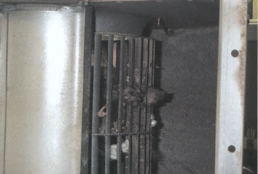 Photo 5, Foreign Object in Fan